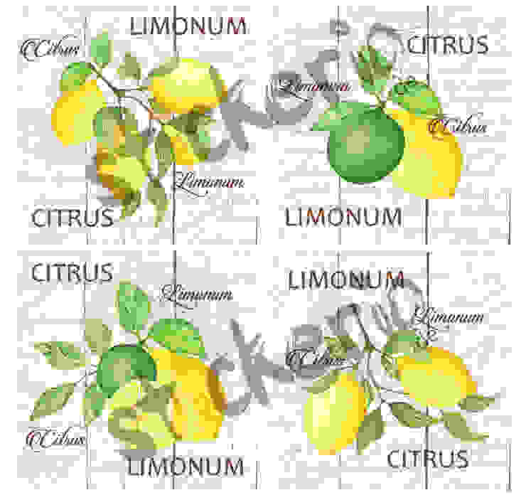 homify Bahçe: Çekirdekten limon ağacı nasıl yetiştirilir ...