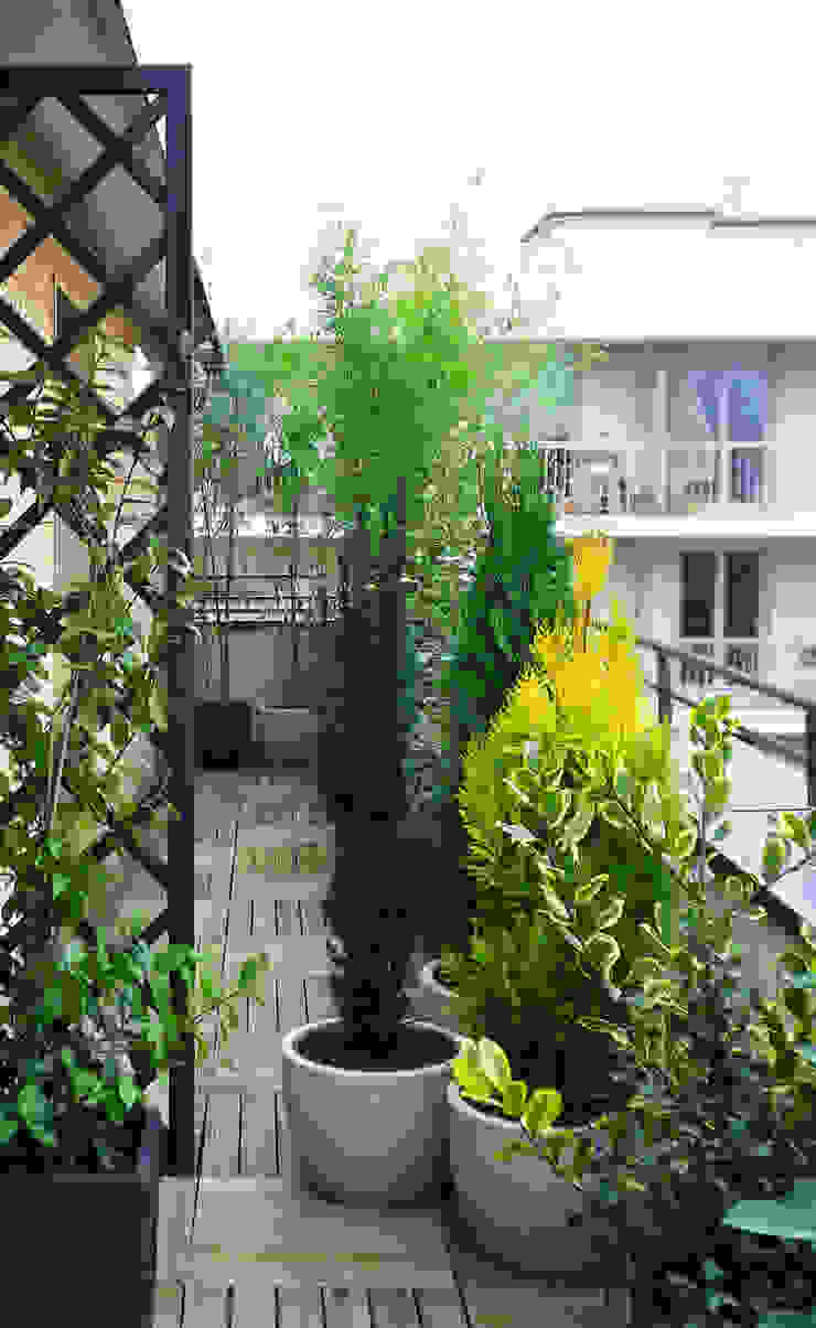 Barrière végétale Skéa Designer Jardin minimaliste Bambou Vert Plante,Léger,Fenêtre,Pot de fleur,Fixation,Plante d&#39;appartement,Immeuble,Végétation,Jaune,Zone résidentielle