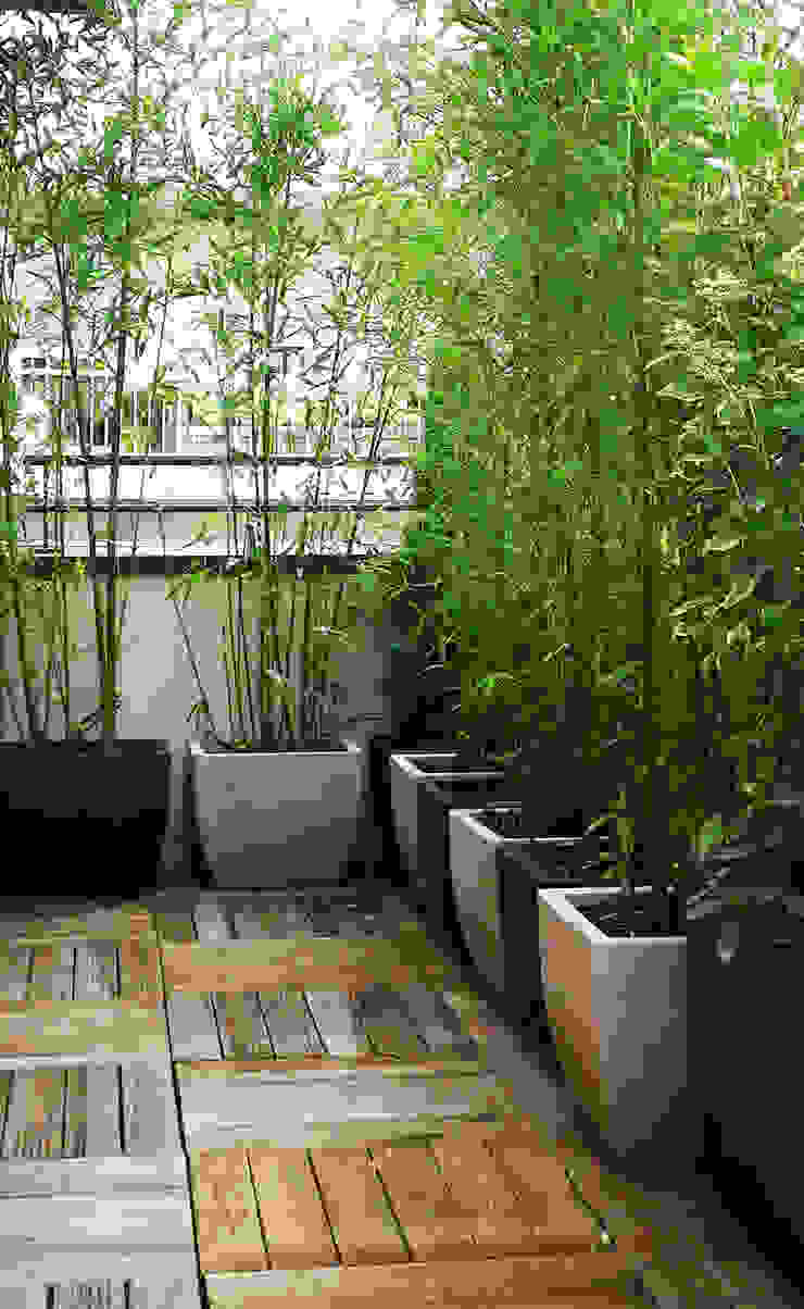 VERT PRINTEMPS | Une terrasse à l’abris des regards, Skéa Designer Skéa Designer Minimalistische tuinen Bamboe Groen