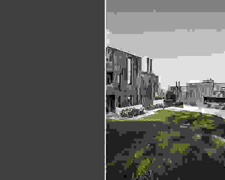 Дома в стиле модерн от meier architekten zürich Модерн Медь / Бронза / Латунь