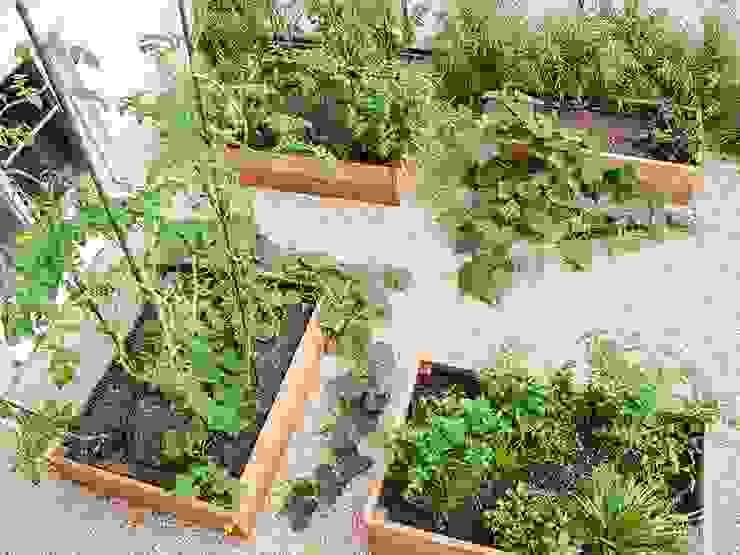Hochbeete für Gemüse/Obst Kräftner Landschaftsarchitektur Mediterraner Garten
