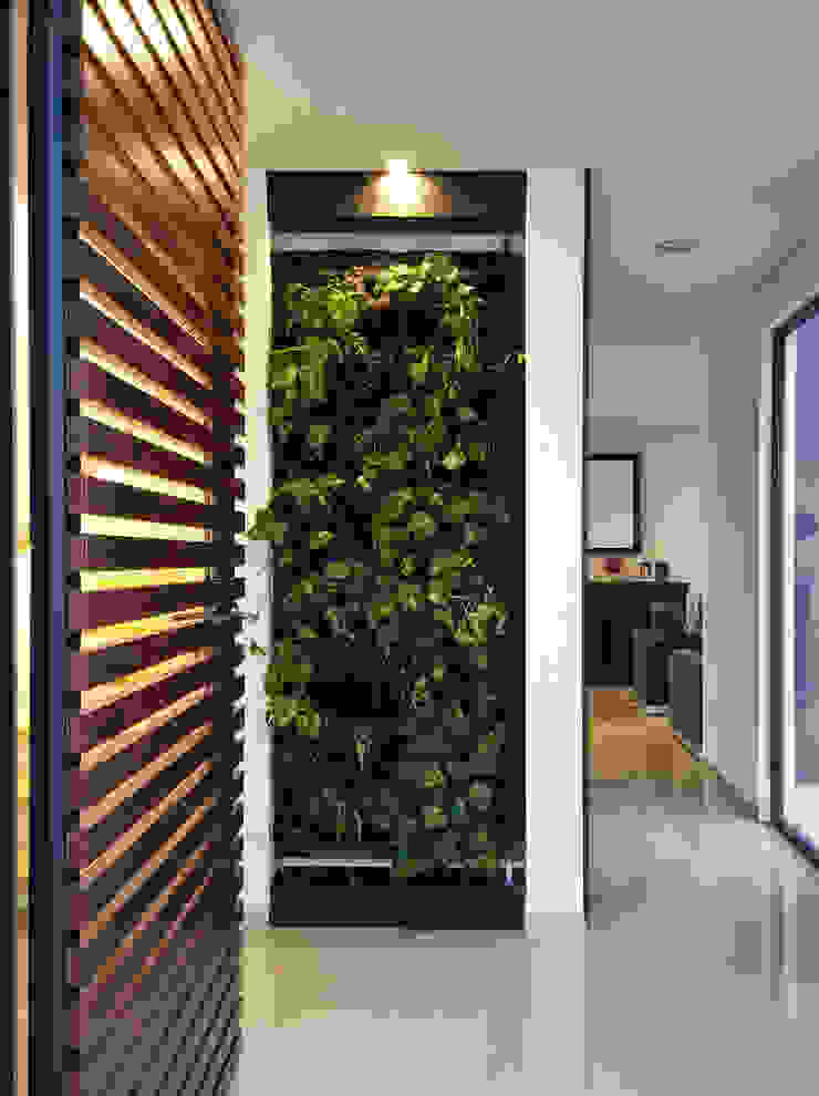 MURO VERDE COMO REMATE VISUAL Región 4 Arquitectura Pasillos, vestíbulos y escaleras de estilo minimalista
