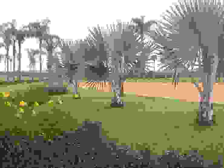 Jardins Naturais Junia Lobo Paisagismo Jardins campestres