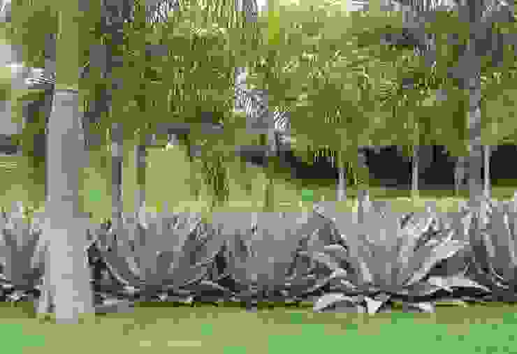 Jardins Naturais Junia Lobo Paisagismo Jardins campestres