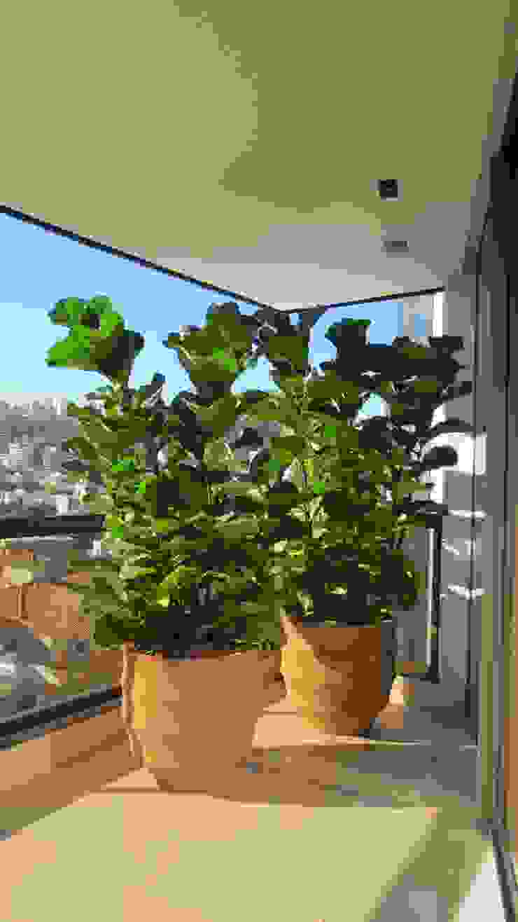 Jardins Naturais Junia Lobo Paisagismo Varandas, alpendres e terraços campestres