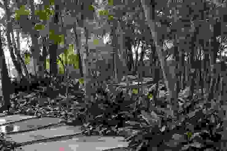 Jardins Naturais Junia Lobo Paisagismo Jardins campestres