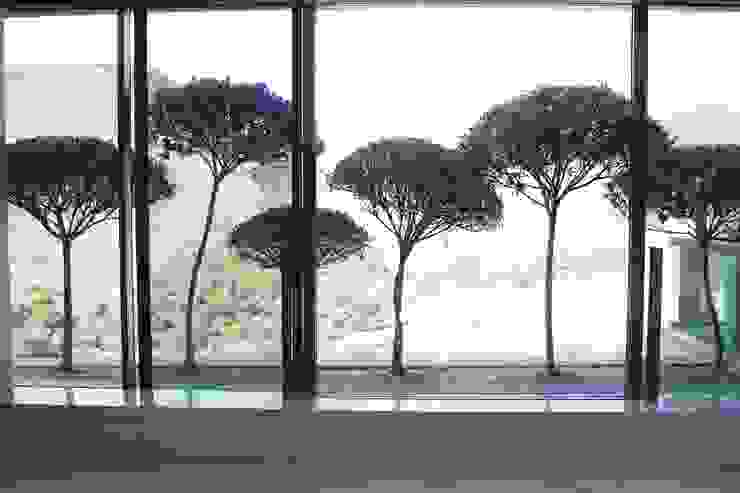 Jardins Naturais Junia Lobo Paisagismo Varandas, alpendres e terraços campestres