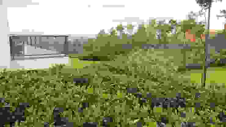 Jardins Naturais Junia Lobo Paisagismo Jardins campestres