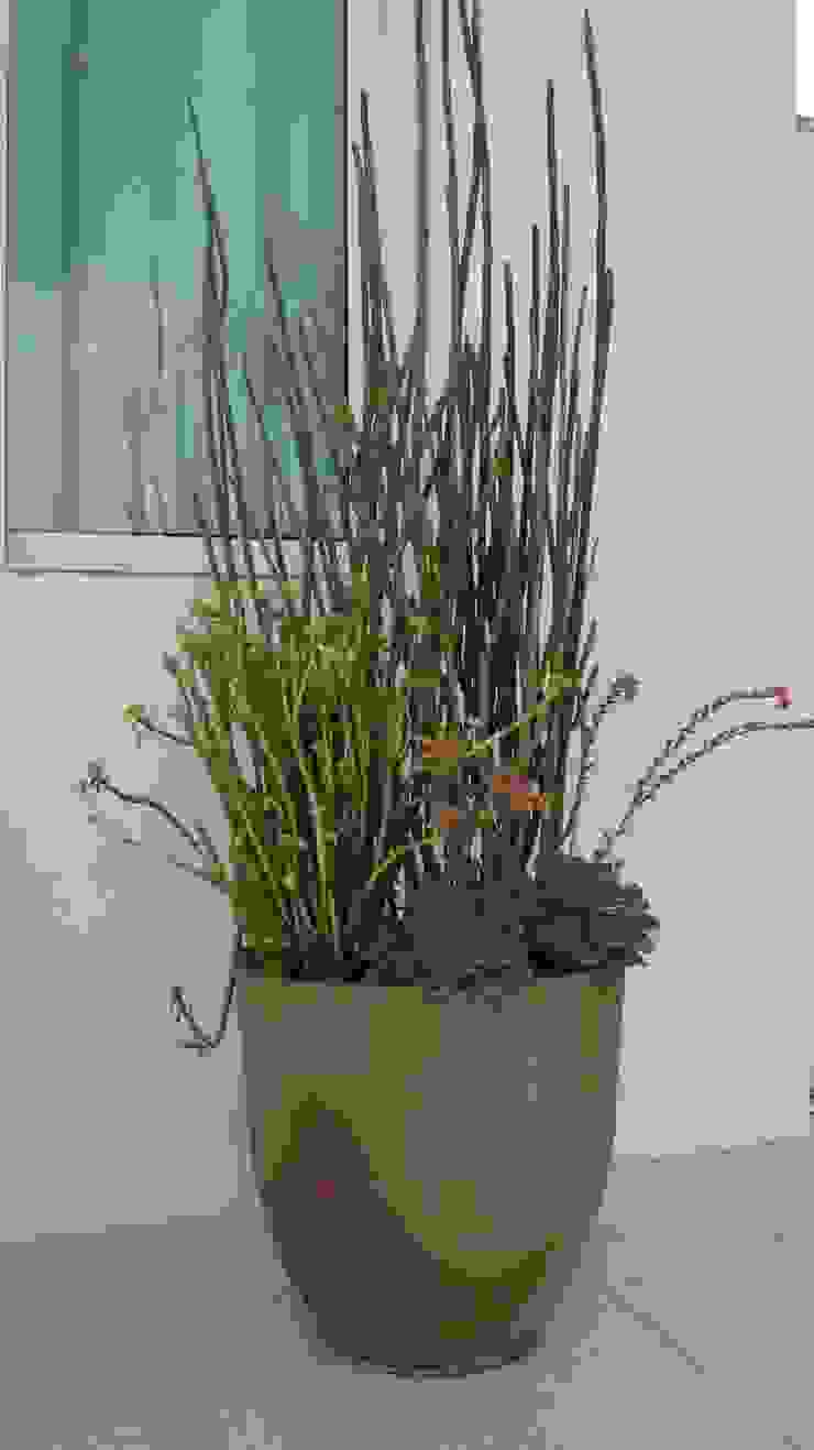 Jardins Naturais Junia Lobo Paisagismo Varandas, alpendres e terraços campestres