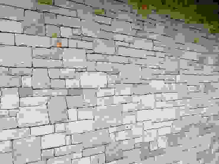 PietraNova srl Rustic style house