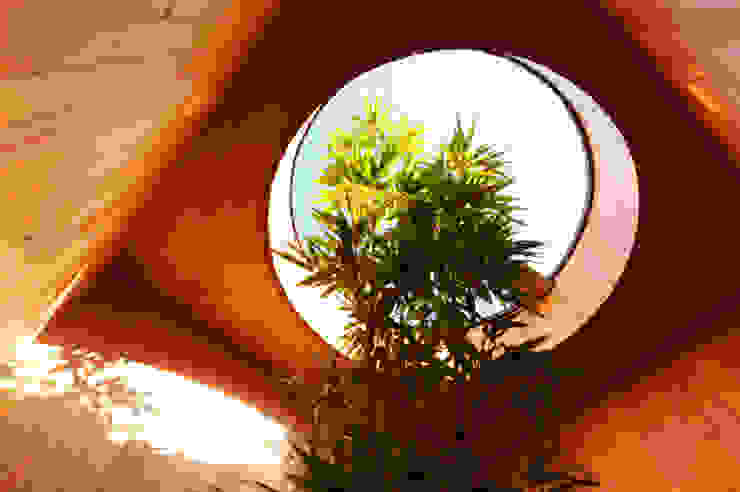 株式会社コヤマアトリエ一級建築士事務所 Jardines modernos