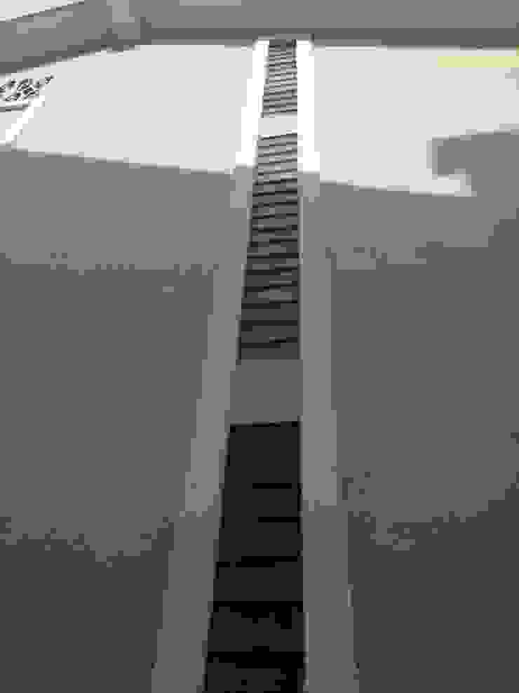 Modern houses by acertus Modern