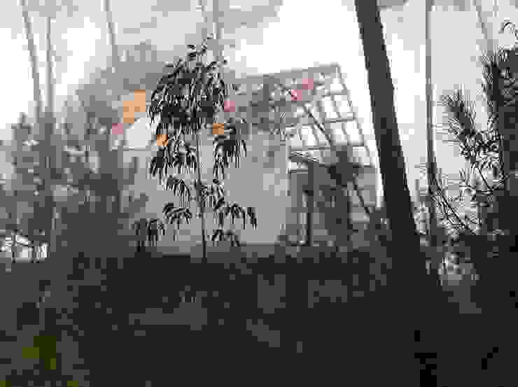 NORMA | Nova Arquitectura em Madeira (New Architecture in Wood)