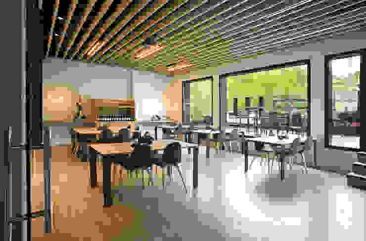 rdl arquitectura Skandynawska piwnica win