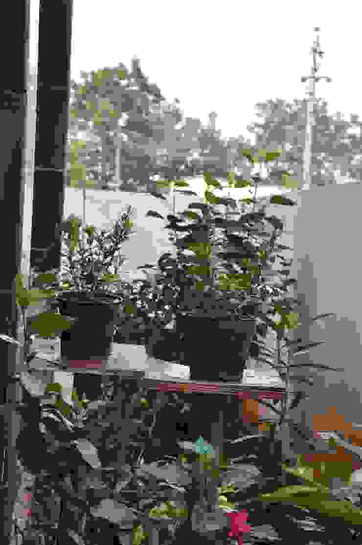 Dr.Z.S.'s Residential House DESIGNER GALAXY Modern garden