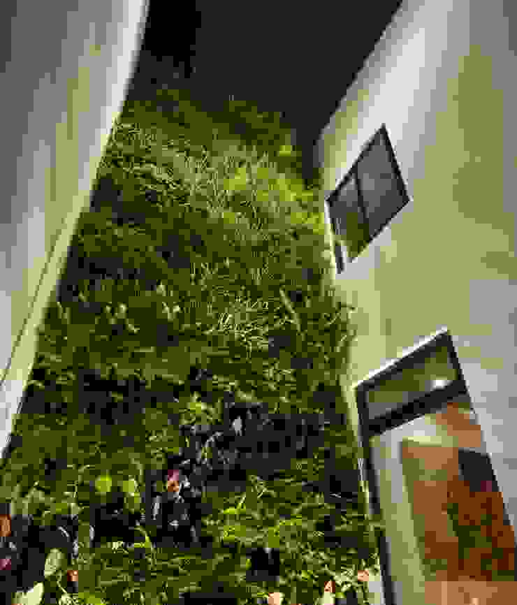 LGZ Taller de arquitectura Taman Modern Serat Alami Green