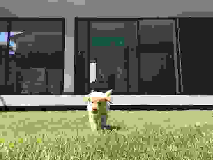 JARDIN gOO Arquitectos