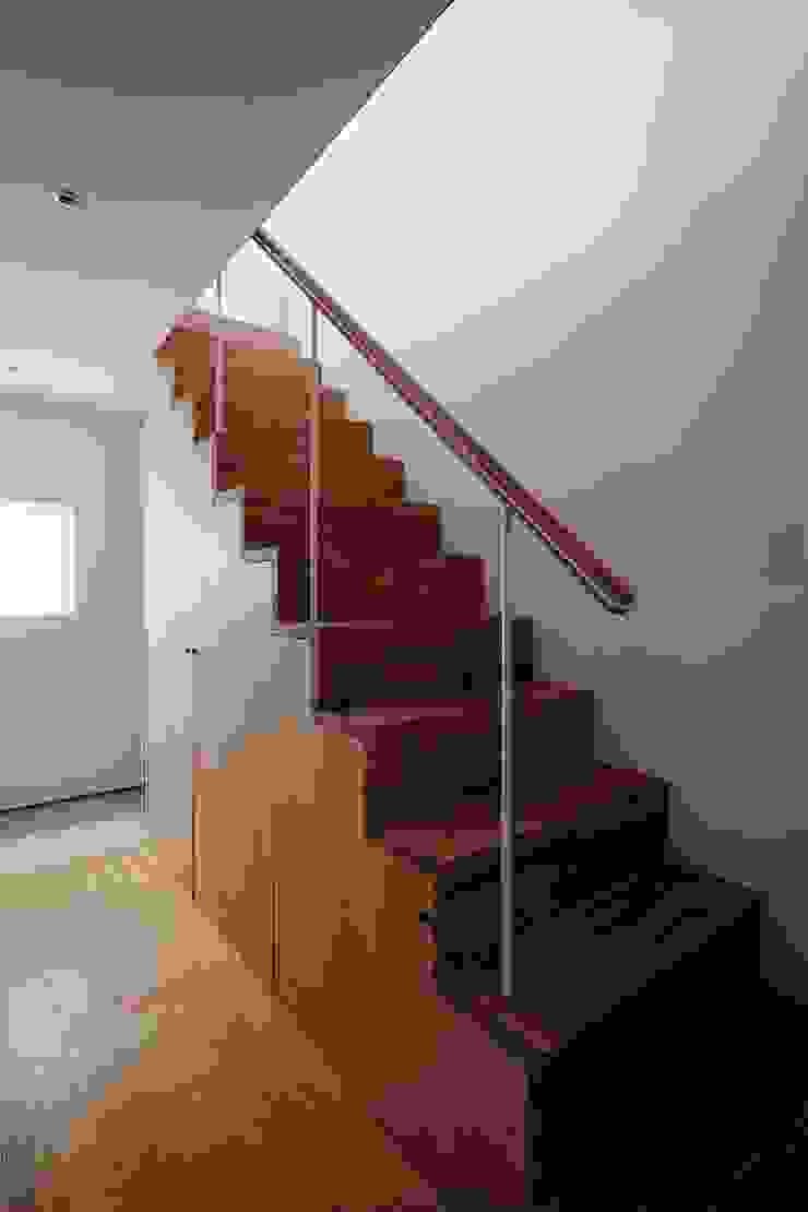 ディンプル建築設計事務所 Modern Corridor, Hallway and Staircase Solid Wood Wood effect