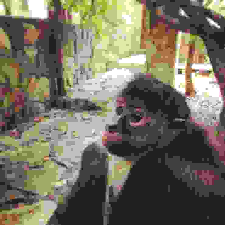 Casas modernas por IURO Moderno