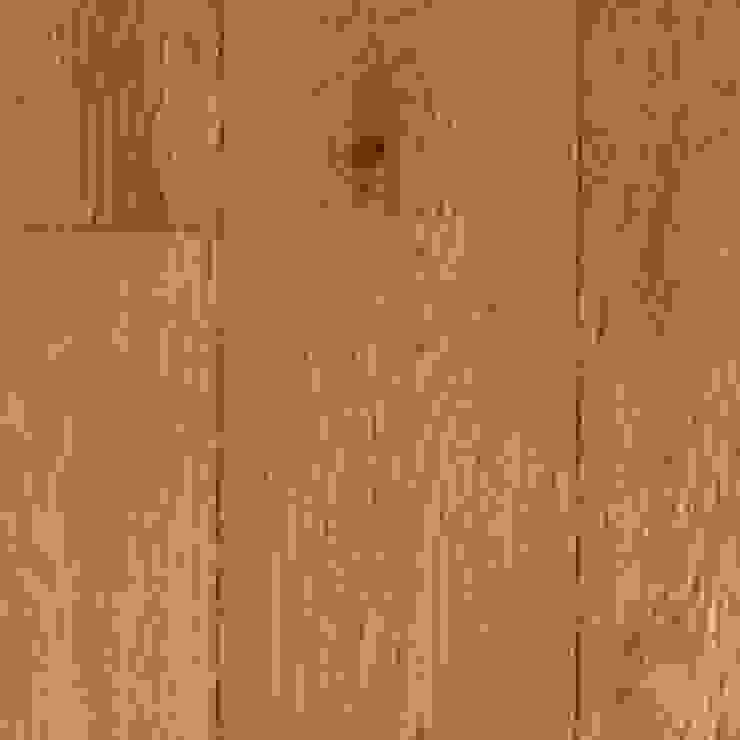 homify
