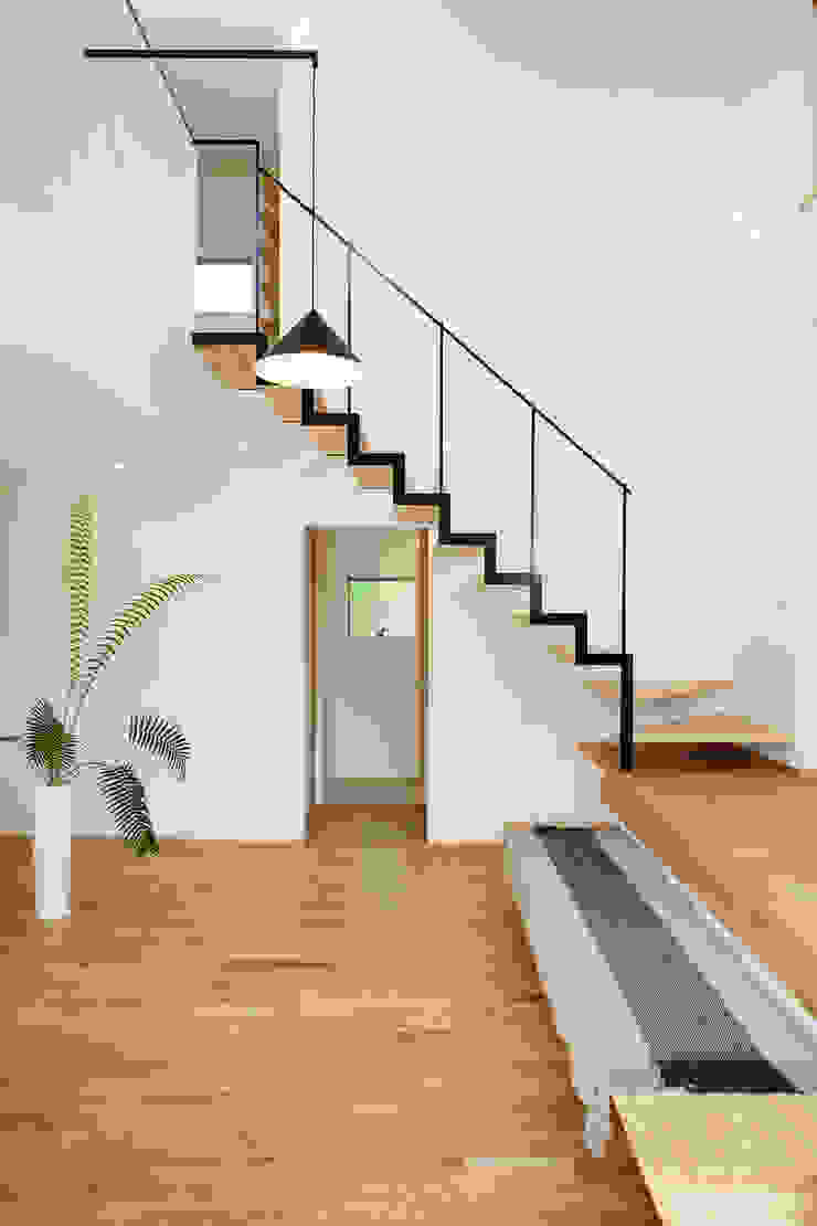 末広通の家, 株式会社kotori 株式会社kotori Modern corridor, hallway & stairs