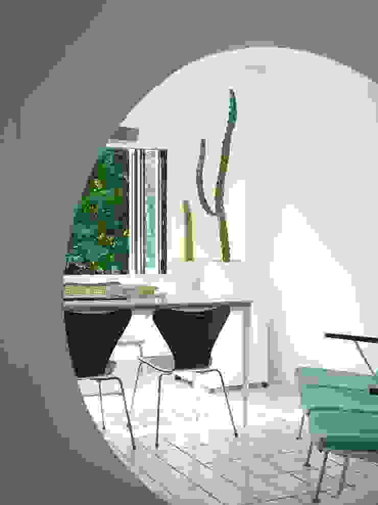 미니 가든 GARDEN STUDIO GartenPflanzen und Blumen