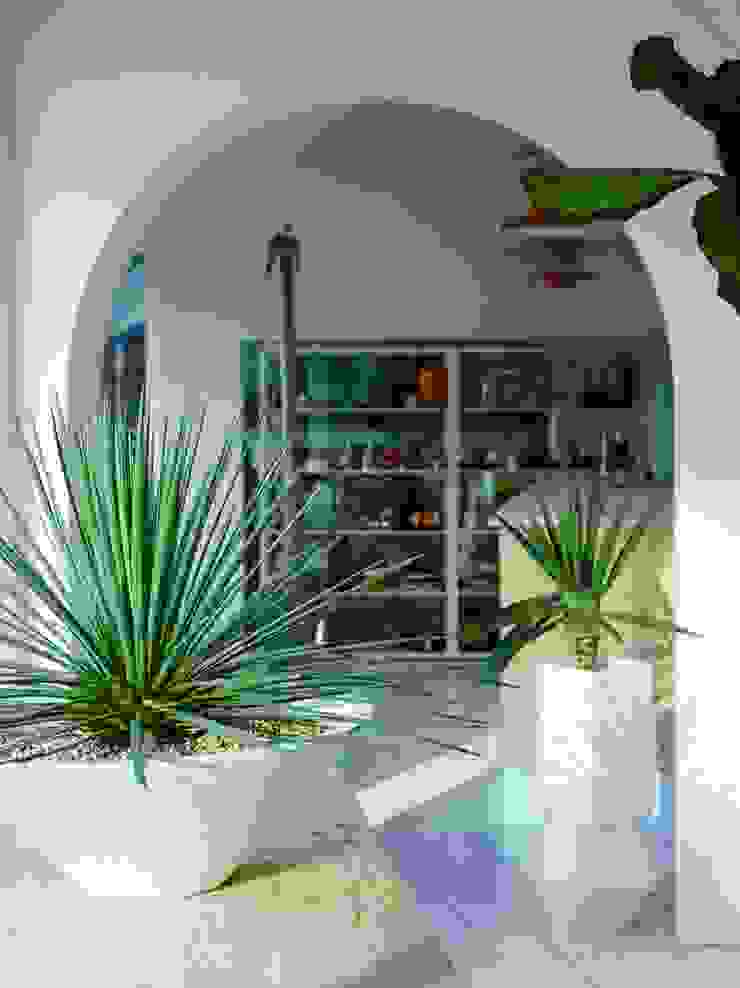 미니 가든 GARDEN STUDIO GartenPflanzen und Blumen