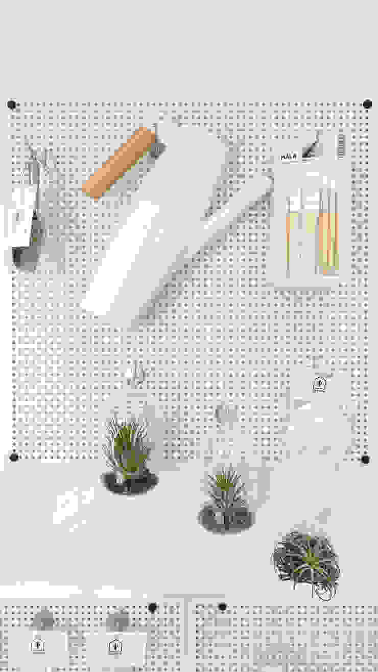 미니 가든 GARDEN STUDIO GartenPflanzen und Blumen