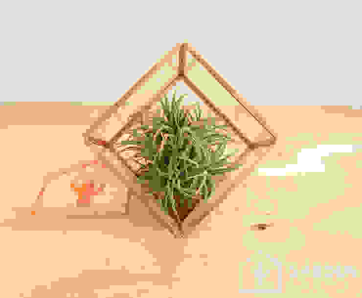 미니 가든 GARDEN STUDIO GartenPflanzen und Blumen