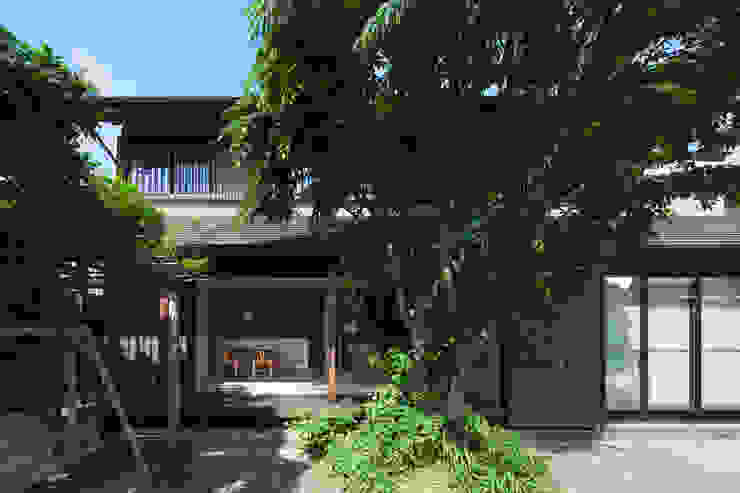 庭の大きな木を活かす 木 もちいい家 Homify