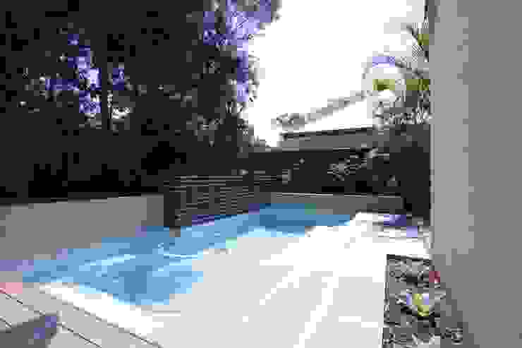 Applecross Project Project Artichoke Tropical style pool