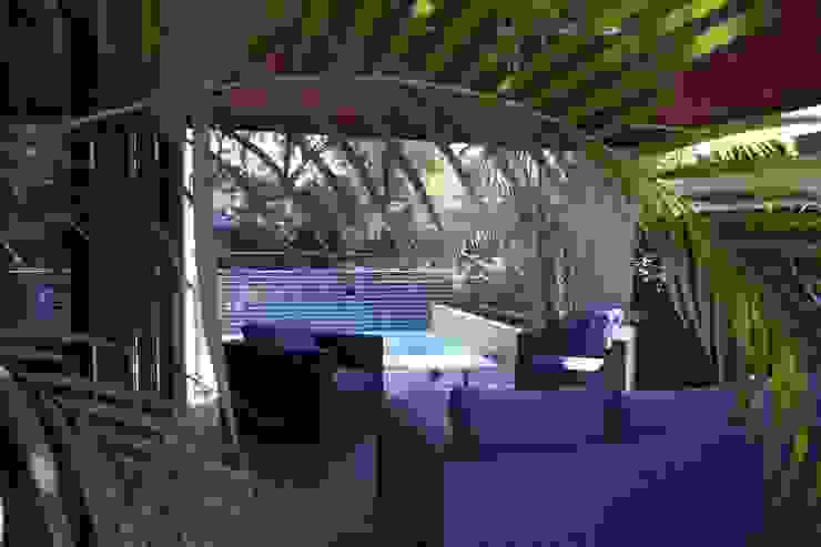Applecross Project Project Artichoke Tropical style garden
