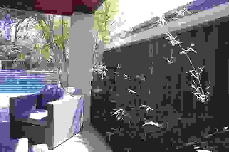 Applecross Project Project Artichoke Tropical style garden