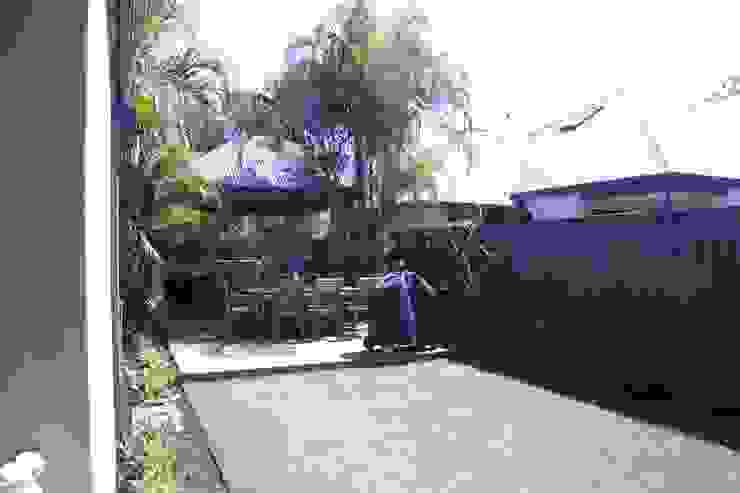 Applecross Project Project Artichoke Tropical style garden