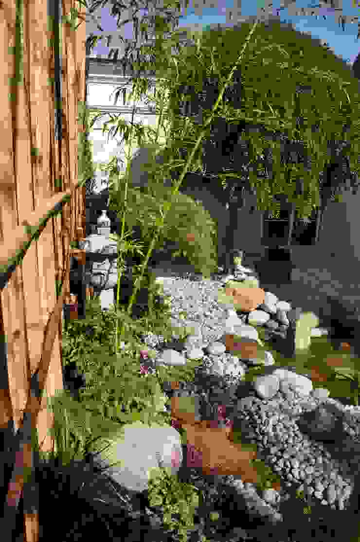 Taffin Asian style garden