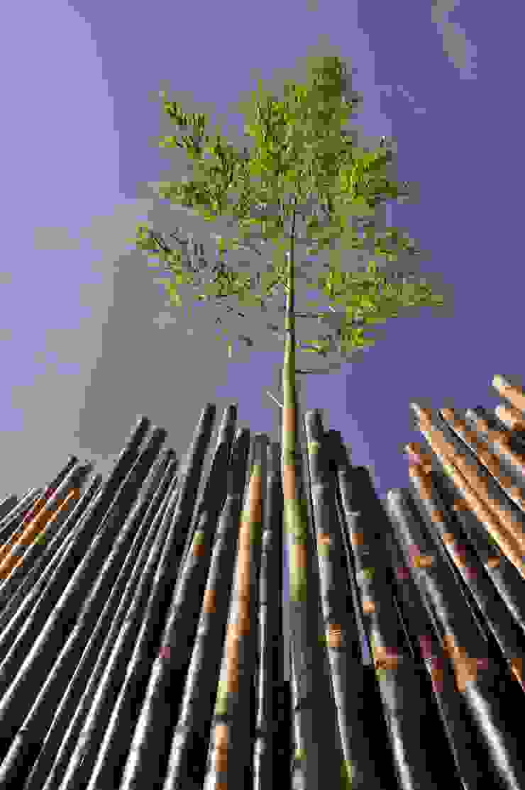 Taffin Asian style garden