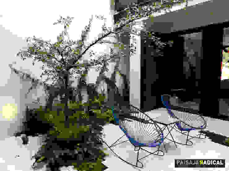 Área de descanso. Paisaje Radical Jardines modernos: Ideas, imágenes y decoración