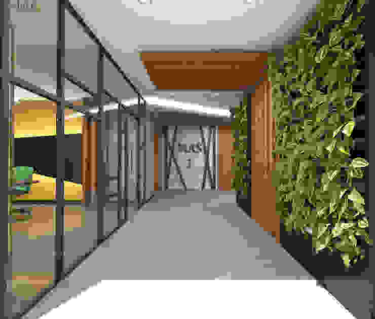 homify