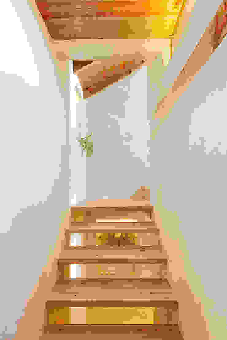 A JOIA d´AZOIA pedro quintela studio Corredores, halls e escadas campestres Acabamento em madeira