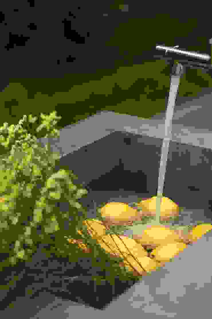 decoração – arranjos flores e frutas COISAS DA TERRA JardimPlantas e flores