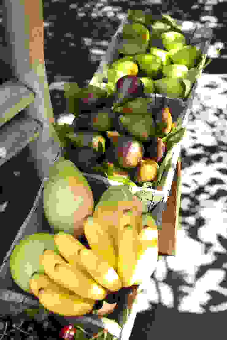 decoração – arranjos flores e frutas COISAS DA TERRA JardimAcessórios e decoração