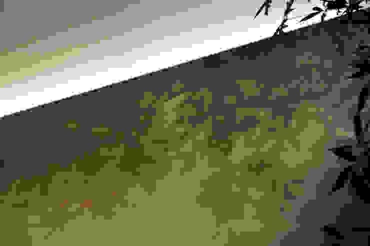 O邸 中塚健仁建築設計事務所 Стіни