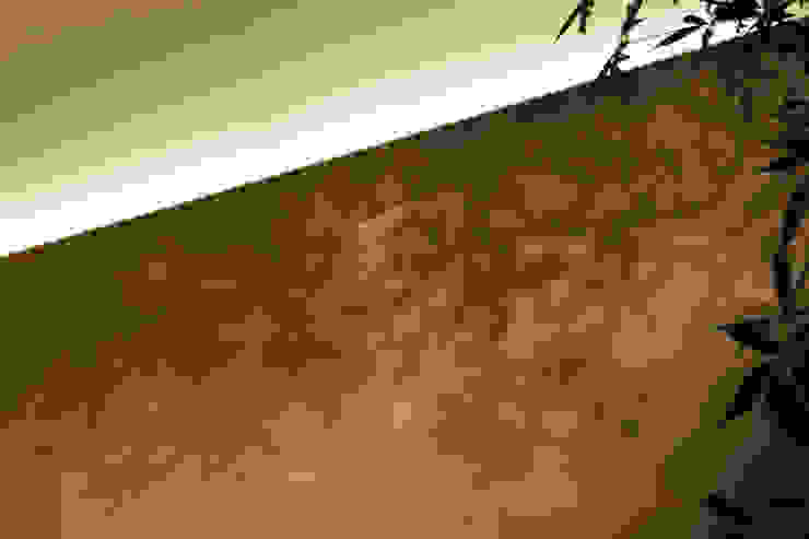 O邸 中塚健仁建築設計事務所 Стіни