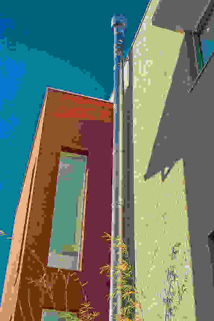 Patrícia Azoni Arquitetura + Arte & Design Modern houses