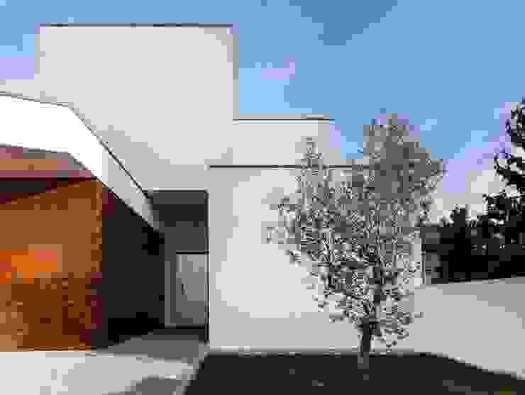 house 116 bo | bruno oliveira, arquitectura Modern Houses Wood White