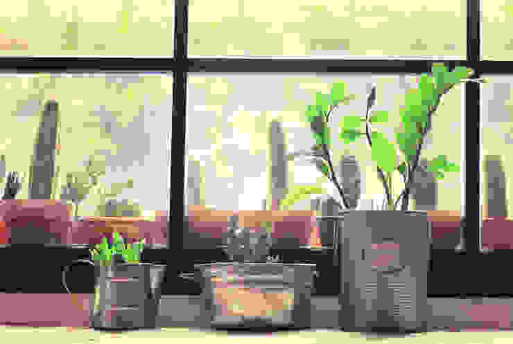 Kakteen Stachelige Deko Fur Ihr Wohnzimmer Von Agentur Belmedia