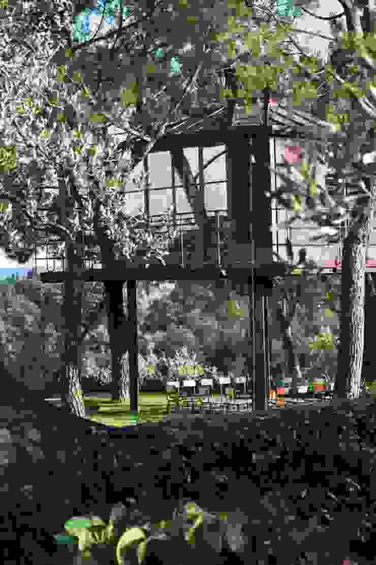 Casa Sull Albero Tree House By Riccardo Barthel Homify