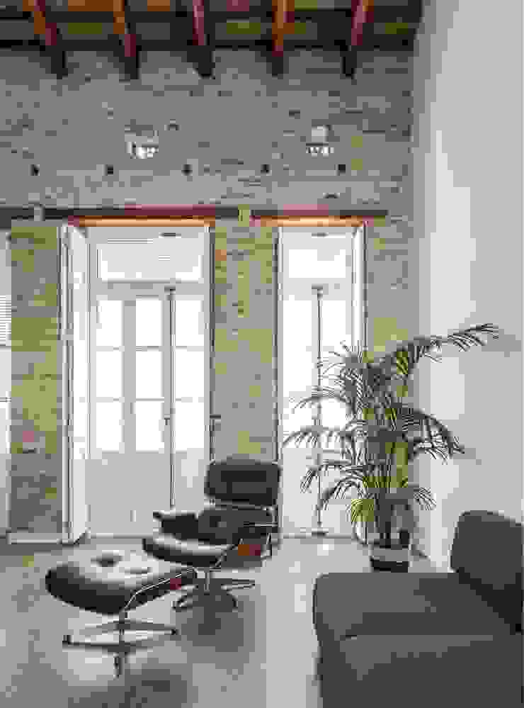 Moderne Häuser von amBau Gestion y Proyectos Modern