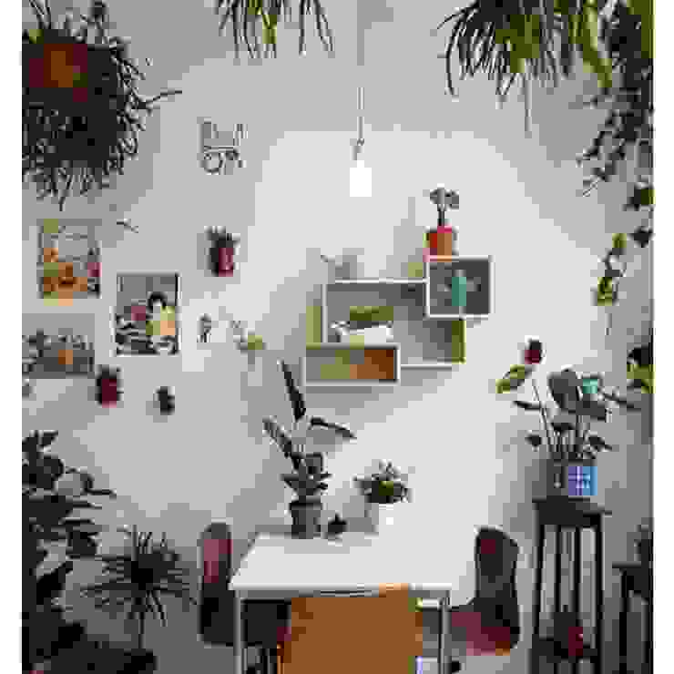 Diseño de proyectos y espacios, Eurekaa Eurekaa Sala da pranzo moderna