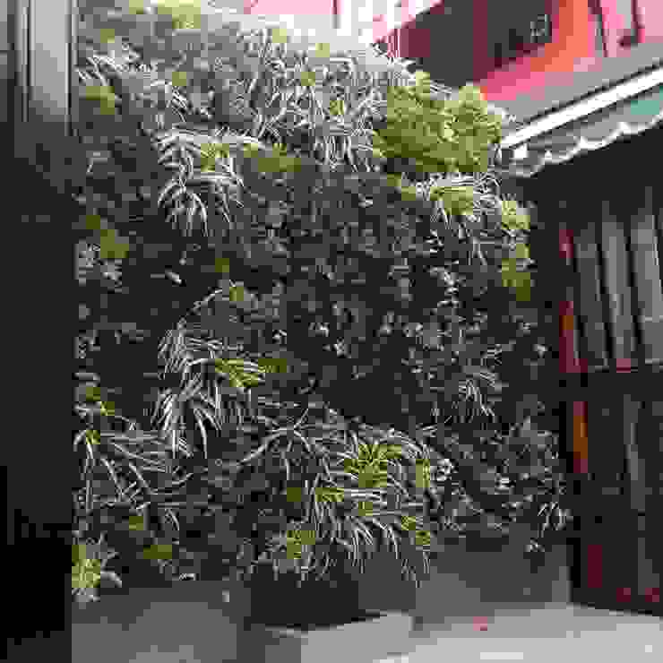 Jardines verticales: ventajas y beneficios de tener uno en casa | homify